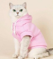 Winter Cat Premimum Dress Pink