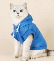 Winter Cat Premimum Dress Blue
